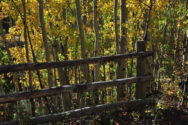 fall colors on highway 145